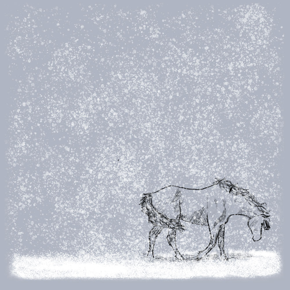 Drawing of a Horse walking in a blizzard
