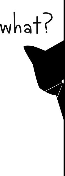 What? Peeking cat illustration and text